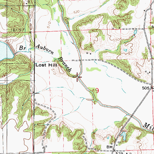 Topographic Map of Auburn Branch, IL