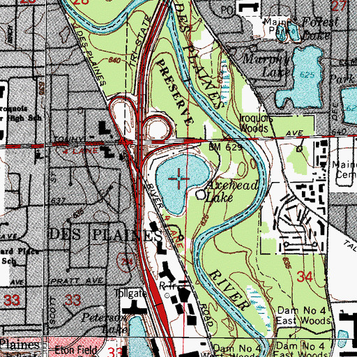 Topographic Map of Axehead Lake, IL