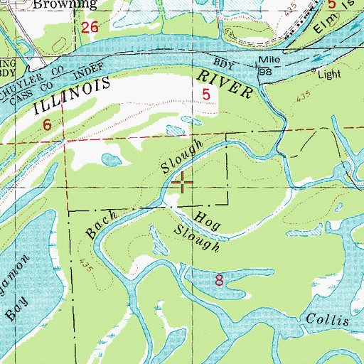 Topographic Map of Bach Slough, IL