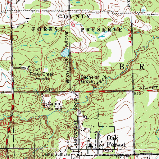 Topographic Map of Bachelor Grove, IL