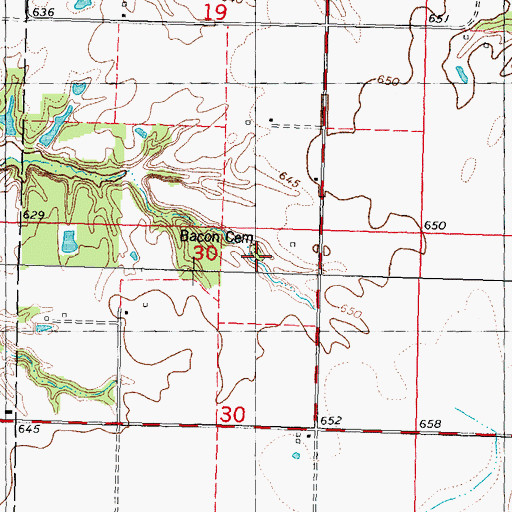 Topographic Map of Bacon Cemetery, IL