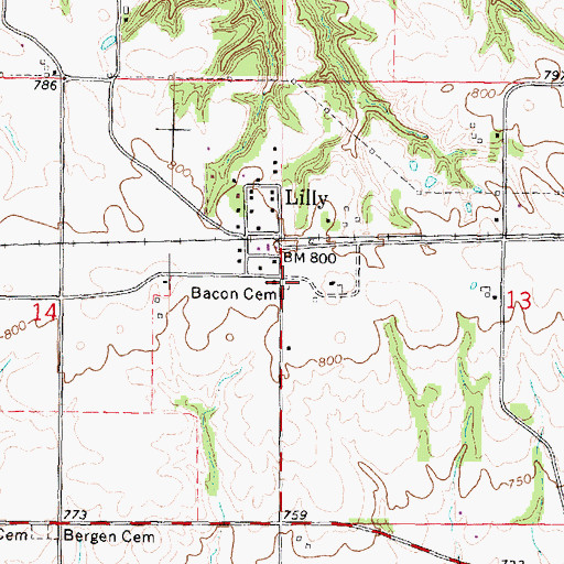 Topographic Map of Liiiy Cemetery, IL
