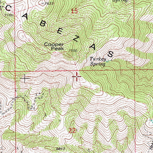 Topographic Map of Dos Cabezas Mountains, AZ
