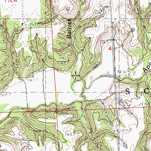 Topographic Map of Baitter Branch, IL