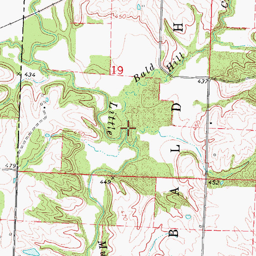 Topographic Map of Bald Hill Creek, IL