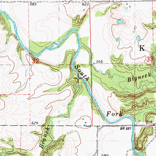 Topographic Map of Baldwin Branch, IL