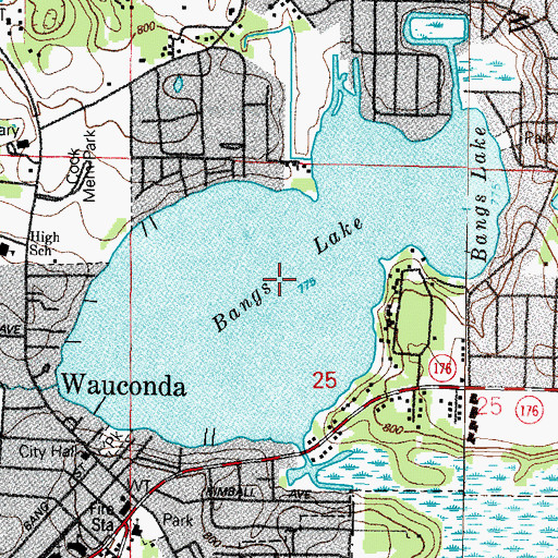 Topographic Map of Bangs Lake, IL