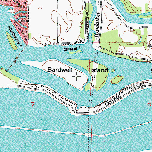 Topographic Map of Bardwell Island, IL