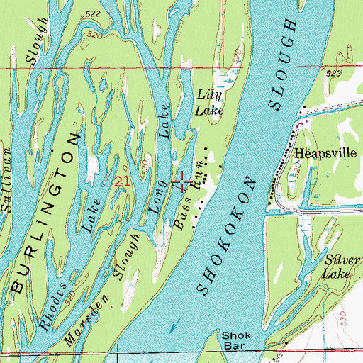 Topographic Map of Bass Run, IL