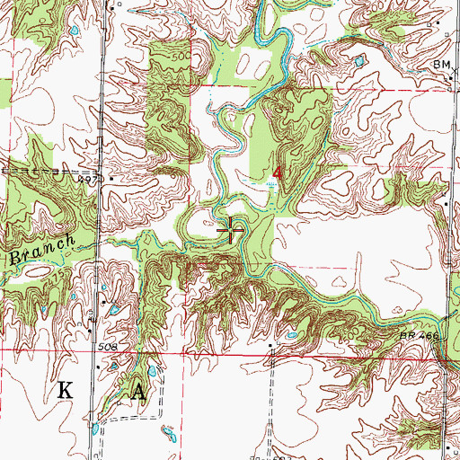 Topographic Map of Bear Branch, IL