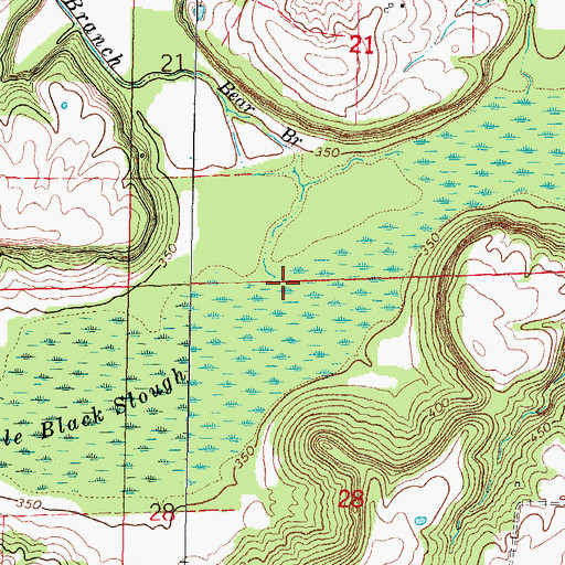 Topographic Map of Bear Branch, IL