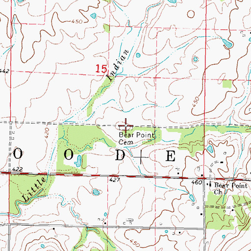 Topographic Map of Bear Point Cemetery, IL