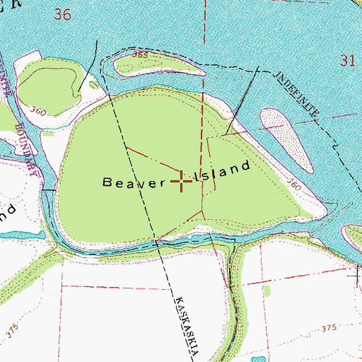 Topographic Map of Beaver Island, IL