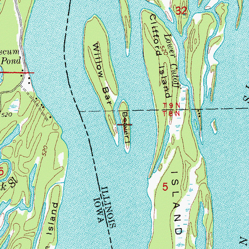 Topographic Map of Beaver Island, IL
