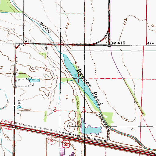 Topographic Map of Beaver Pond, IL