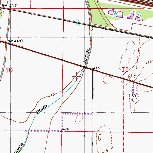 Topographic Map of Beaver Pond Ditch, IL