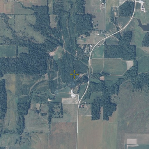 Aerial/Satellite Image of Bee Branch, IL