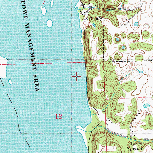 Topographic Map of Bell Pond, IL