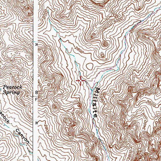 Topographic Map of Rattlesnake Spring, AZ