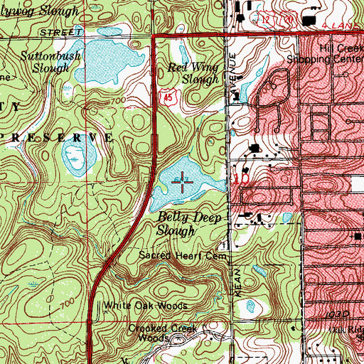 Topographic Map of Belly Deep Slough, IL