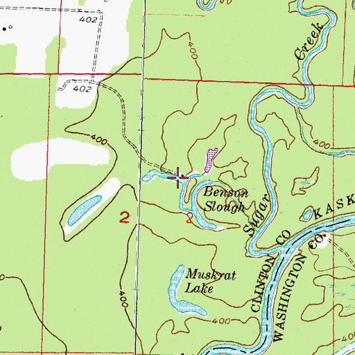 Topographic Map of Benson Slough, IL
