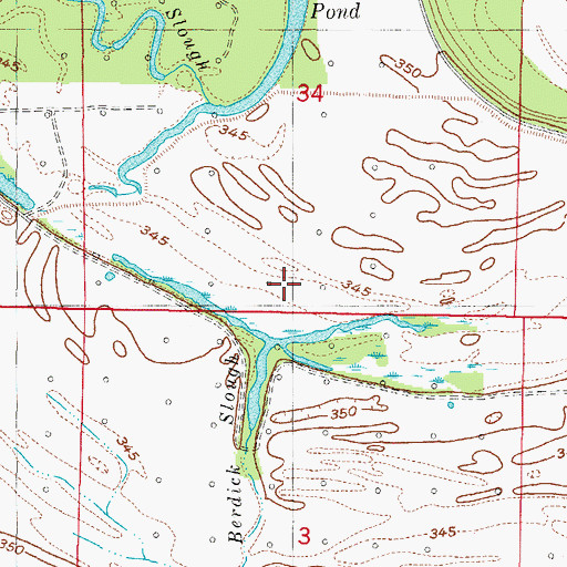 Topographic Map of Berdick Slough, IL