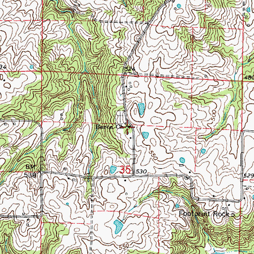 Topographic Map of Berea Church, IL