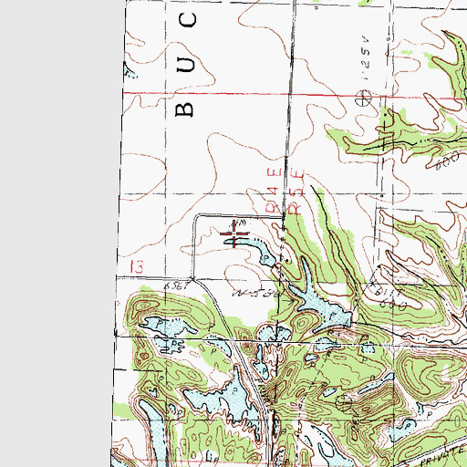 Topographic Map of Bethel Chapel (historical), IL