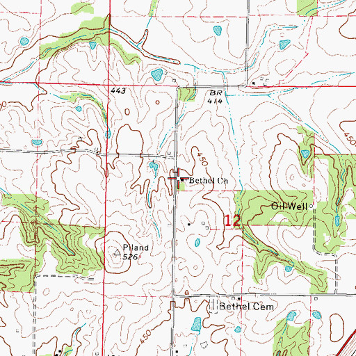Topographic Map of Bethel Church, IL