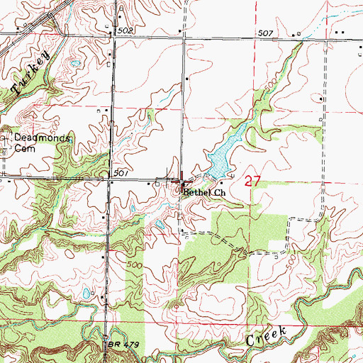 Topographic Map of Bethel Church, IL