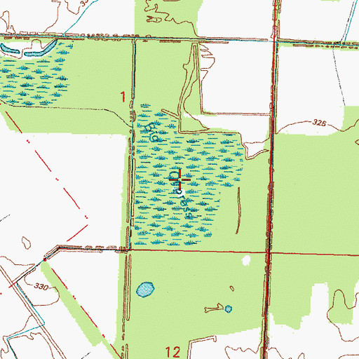 Topographic Map of Big Cypress, IL