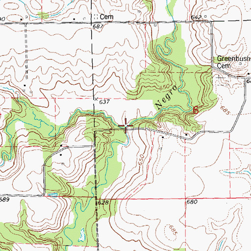 Topographic Map of Big Negro Creek, IL