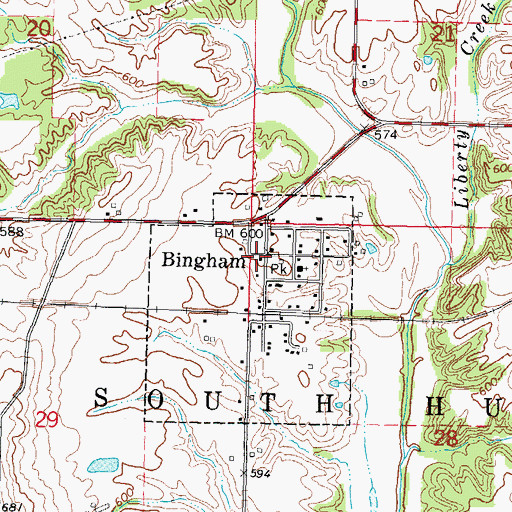 Topographic Map of Bingham, IL