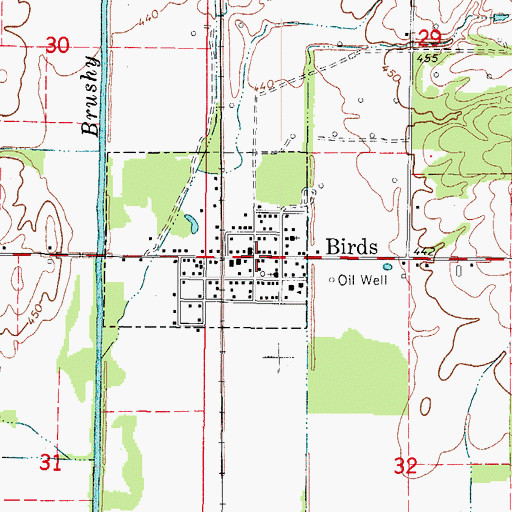 Topographic Map of Birds, IL