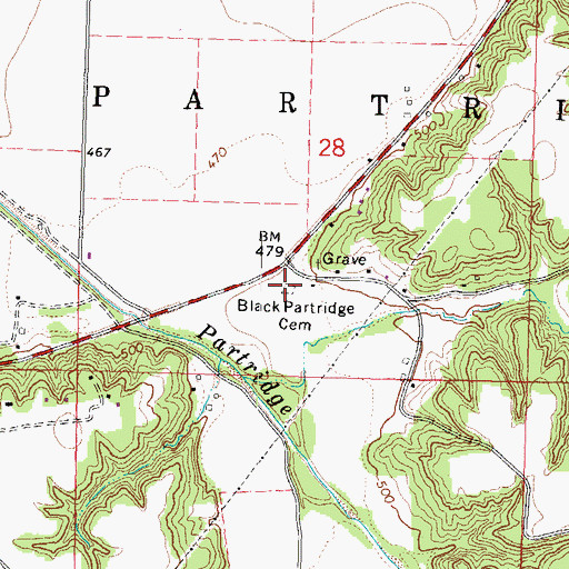 Topographic Map of Black Partridge Cemetery, IL