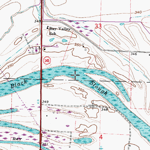 Topographic Map of Black Slough, IL