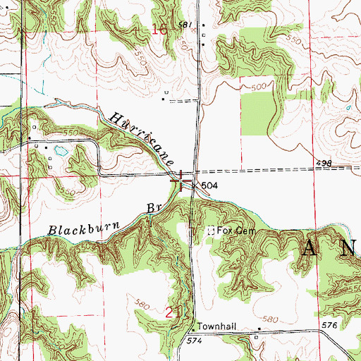Topographic Map of Blackburn Branch, IL