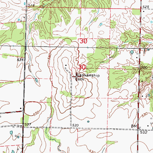 Topographic Map of Blankenship Cemetery, IL