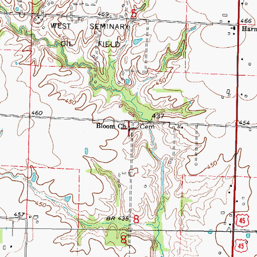 Topographic Map of Bloom Church, IL