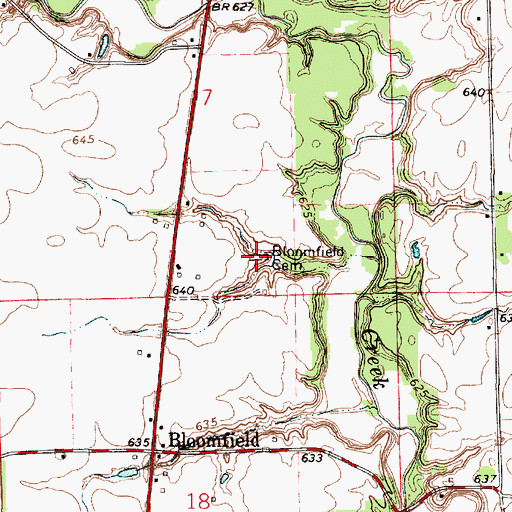 Topographic Map of Bloomfield Cemetery, IL