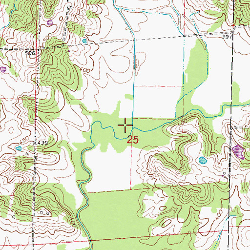 Topographic Map of Blue Branch, IL