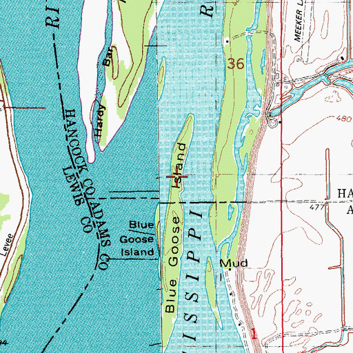 Topographic Map of Blue Goose Island, IL