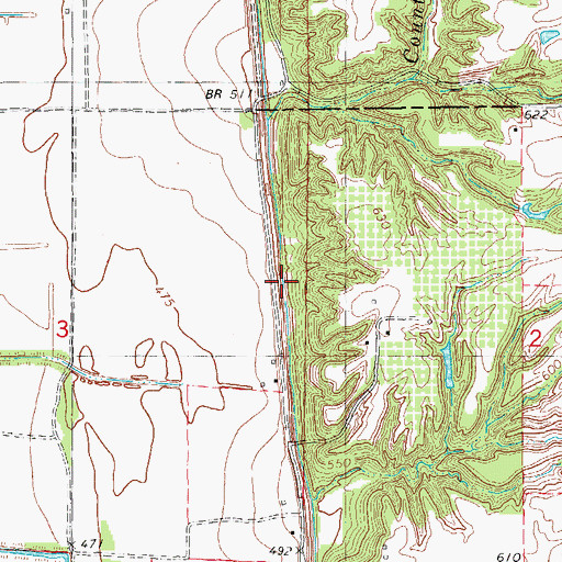 Topographic Map of Bluff Canal, IL