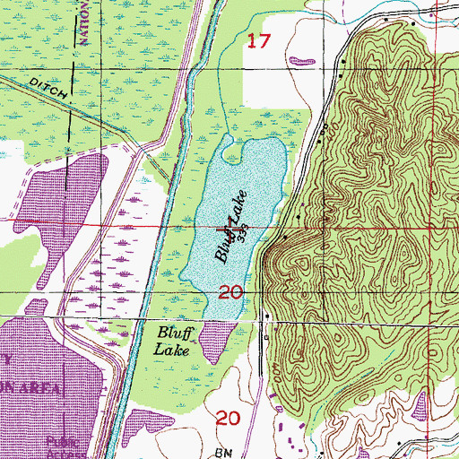 Topographic Map of Bluff Lake, IL