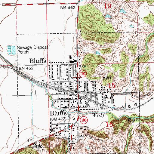 Topographic Map of Bluffs, IL