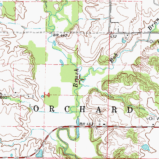 Topographic Map of Bob Branch, IL