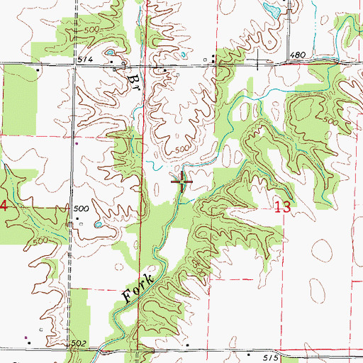 Topographic Map of Bobbies Branch, IL