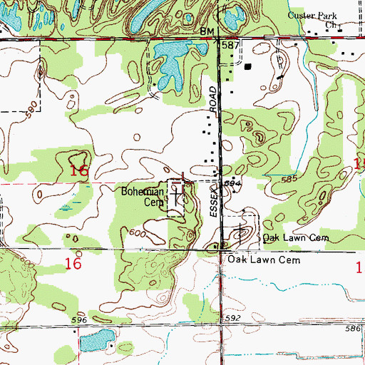Topographic Map of Bohemian National Cemetery, IL