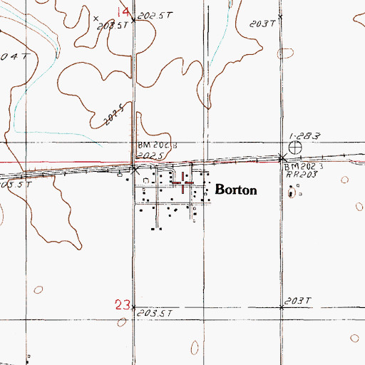 Topographic Map of Borton, IL