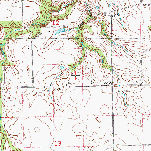 Topographic Map of Boss Wilson Pond (historical), IL